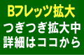 ��錧�É͎s�@�Ȗ،���ؒ��@��ʌ��k��Ӓ��@�a�t���b�c�g��